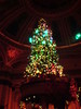 The Dome Edinburgh: Christmas Tree (1)