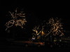St Andrews Square, Edinburgh, Christmas lights 2005 (3)