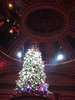 The Dome Edinburgh: Christmas Tree (2)
