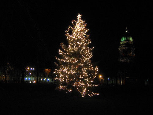 Christmas Tree at Charlotte Square Edinburgh
