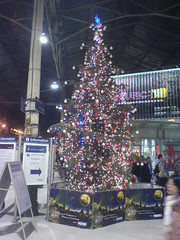 Christmas Metro sponsored Christmas Tree 2005 at Edinburgh Waverley Station