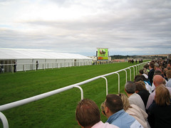 The track at Musselburgh Racecourse